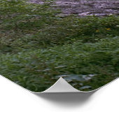 002 Poster~Blue Ridge Mountains, N.C. Poster (Hoek)