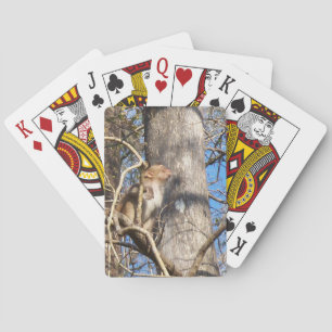 002a resusaap macaque aap die omhoog eruit zien pokerkaarten