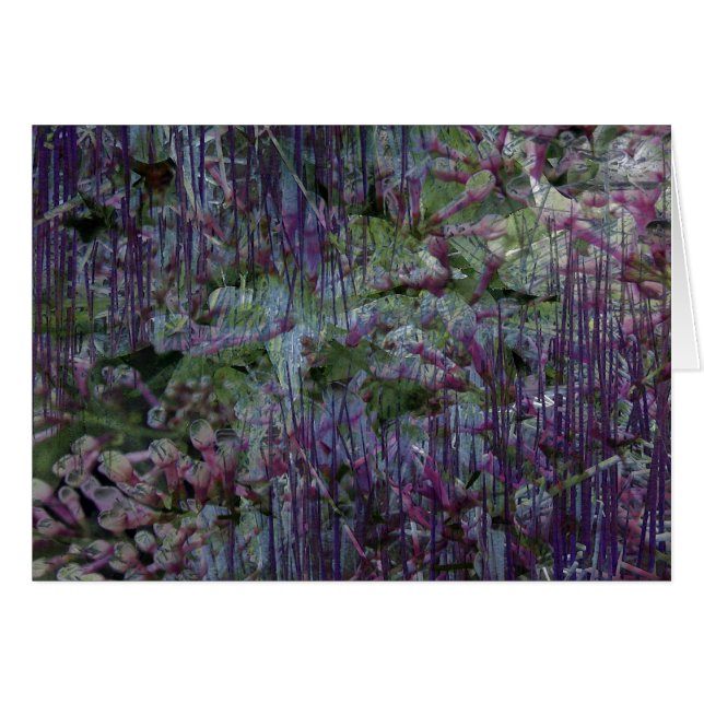 003_06-kaart (Voorkant Horizontaal)