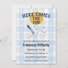 003 Cobalt 020 Fog Sun Plaid Stork Baby Shower Kaart