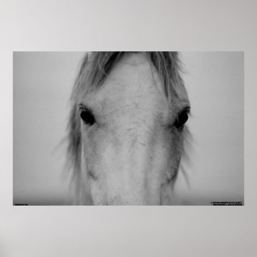 003 POSTER (Voorkant)