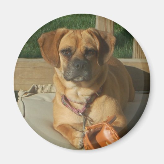 003 Puggle magneet (Voorkant)
