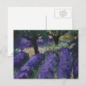 0063-le champ de lavande briefkaart (Voorkant / Achterkant)