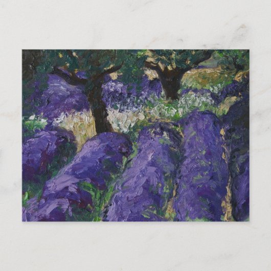 0063-le champ de lavande briefkaart (Voorkant)