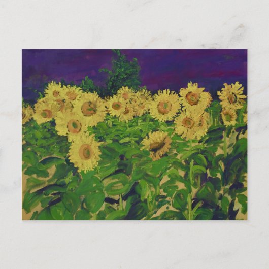 0067 le champ des tournesols briefkaart (Voorkant)