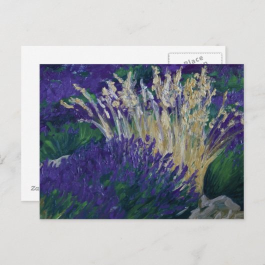 0071-le champ de lavande briefkaart (Voorkant / Achterkant)