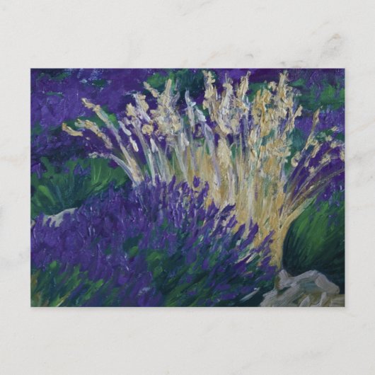 0071-le champ de lavande briefkaart (Voorkant)