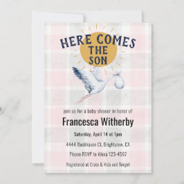 008 Blush 020 Fog Sun Plaid Stork Baby Shower Kaart