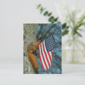 010510-4-   APCONE PATRIOTISCH SQUIRREL BRIEFKAART (Staand voorkant)