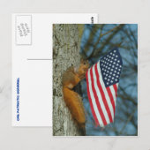 010510-4-   APCONE PATRIOTISCH SQUIRREL BRIEFKAART (Voorkant / Achterkant)