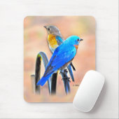 010 Bluebird Love 7.75x9.25 Muismat (Met muis)