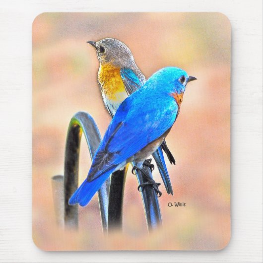 010 Bluebird Love 7.75x9.25 Muismat (Voorkant)