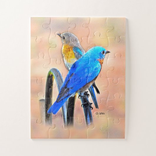 010 Bluebird Love Puzzle 11x14 Kinder Legpuzzel (Verticaal)