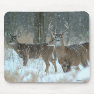 011110-57-AMP MUISMAT