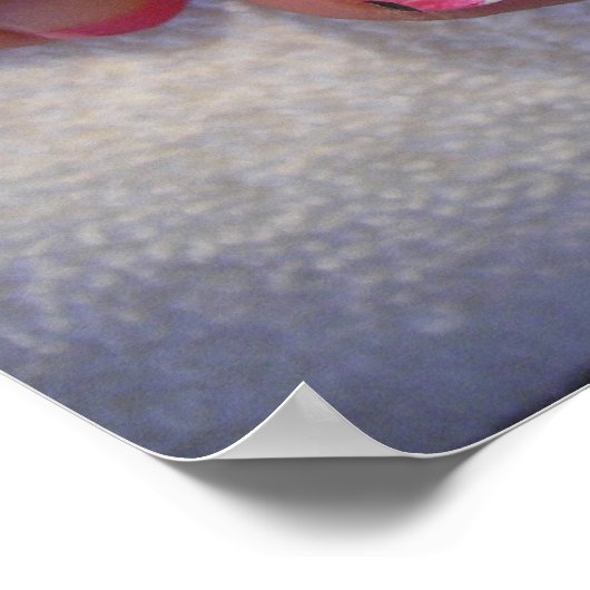 011, The Toe Lady Poster (Hoek)