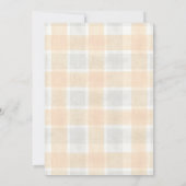 012 Copper 020 Fog Sun Plaid Stork Baby Shower Kaart (Achterkant)