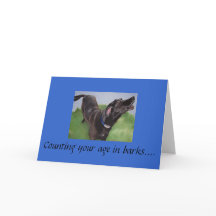 013, Je leeftijd in schors tellen....