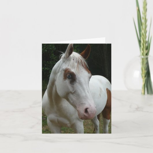 015 Illusiekaart Kaart (Voorkant)