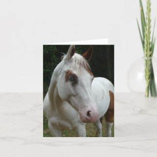 015 Illusiekaart Kaart