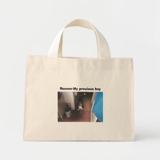 016_13A, Roscoe-My edele jongen Mini Tote Bag (Voorkant)