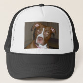 019 (1) perfecte puppy pic van Brandy Trucker Pet (Voorkant)