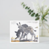 01 * Esel-Postkarten * Donkey-Briefkaarten Briefkaart (Staand voorkant)