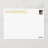 01 * Esel-Postkarten * Donkey-Briefkaarten Briefkaart (Achterkant)