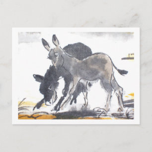 01 * Esel-Postkarten * Donkey-Briefkaarten Briefkaart