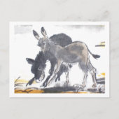 01 * Esel-Postkarten * Donkey-Briefkaarten Briefkaart (Voorkant)