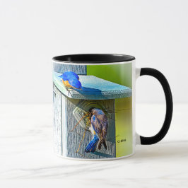 020 Bluebird Nesting 11 oz Classic Mok