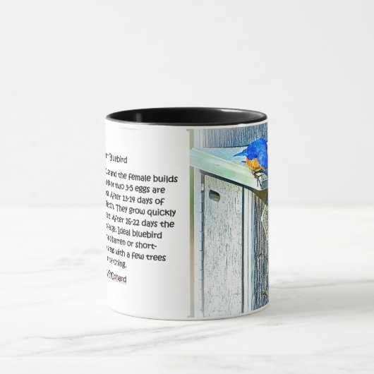 020 Bluebird Nesting 11 oz Classic Mok (Midden)