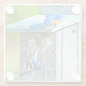 020 Bluebird Nesting 4x4 Glass Onderzetter (Achterkant)