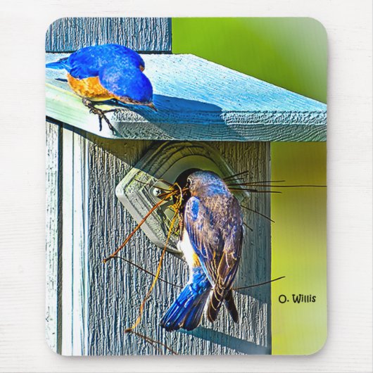 020 Bluebird Nesting 7.75x9.25 Muismat (Voorkant)