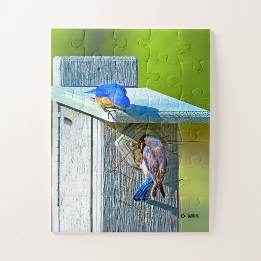 020 Bluebird Nesting Puzzle 11x14 Kinder Legpuzzel (Verticaal)