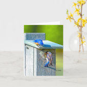 020 het Nestelen van Sialia de Steen van de Kaart (Gele Bloem)