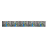 020 Peacock Ribbon Grosgrain Lint (Voorkant)