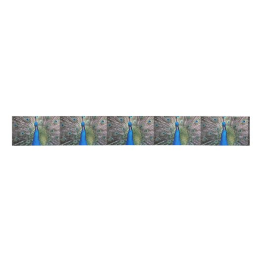 020 Peacock Ribbon Grosgrain Lint (Voorkant)
