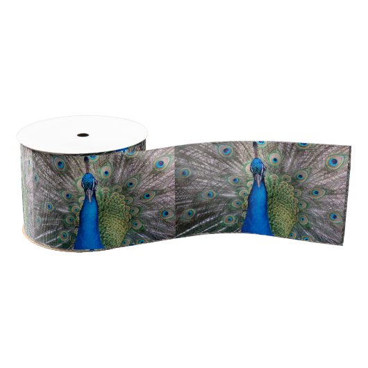 020 Peacock Ribbon Grosgrain Lint (Spoel)