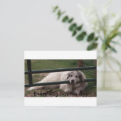 022_2, Elke hond heeft zijn dag Briefkaart (Staand voorkant)