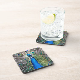 024 - Peacock Set - Onderzetters