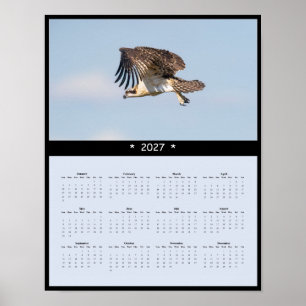 027 Viswallender - Visvangende Roofvogels Poster