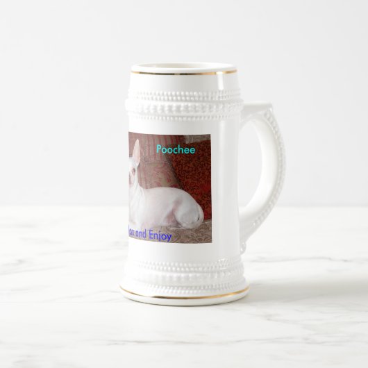 0303091210b, Poochee-Mokken Bierpul (Voorkant rechts)