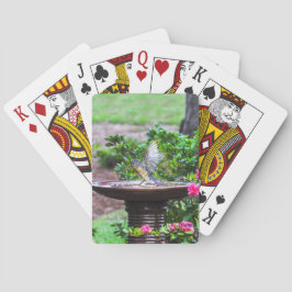 030 Blauwvogelbeschermkaarten Speelkaarten