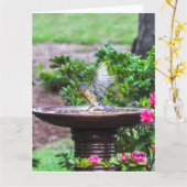 030 Steen van de Kaart 8.5x11 van het Bad van (Gele Bloem)