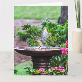 030 Steen van de Kaart 8.5x11 van het Bad van