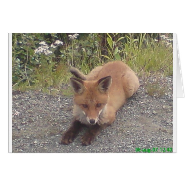 033.JPG (Voorkant Horizontaal)