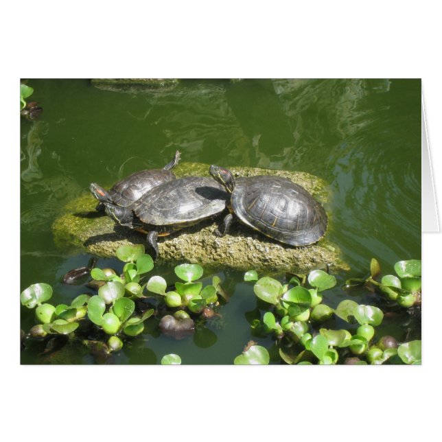 03-21-10 246 (Voorkant Horizontaal)