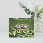 03-21-10 246, Ormond Beach, Florida, Soakin' Up.. Briefkaart (Staand voorkant)