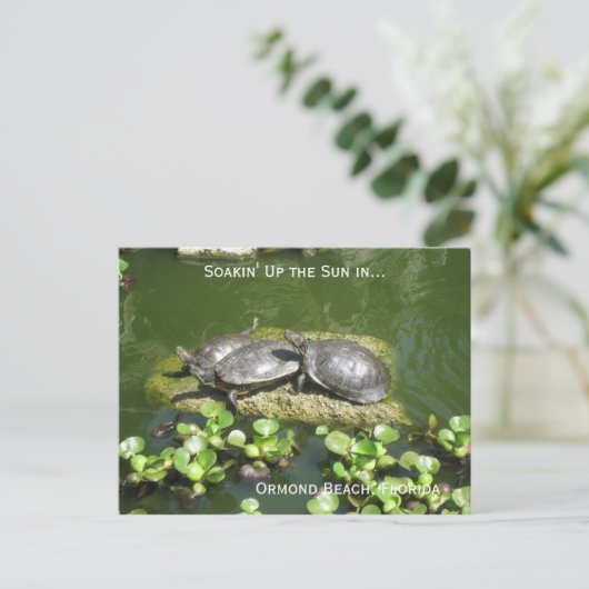 03-21-10 246, Ormond Beach, Florida, Soakin' Up.. Briefkaart (Staand voorkant)