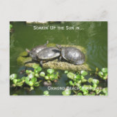 03-21-10 246, Ormond Beach, Florida, Soakin' Up.. Briefkaart (Voorkant)